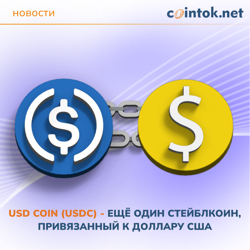 Это изображение выделяет USD Coin (USDC) как стейблкоин, четко привязанный к доллару США, обеспечивая прозрачность и доверие среди пользователей на платформе cointok.org.
